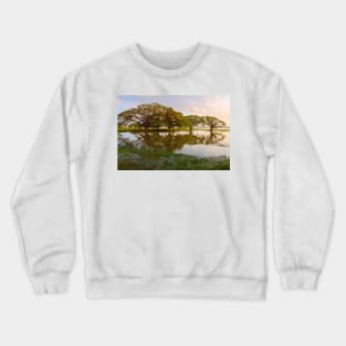 Shady tropical trees by the lake, Sri Lanka Crewneck Sweatshirt